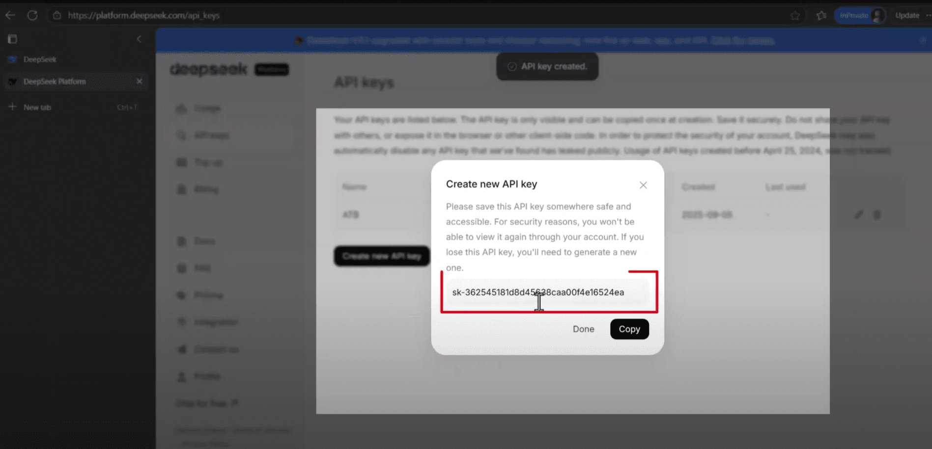 How to get the DeepSeek API